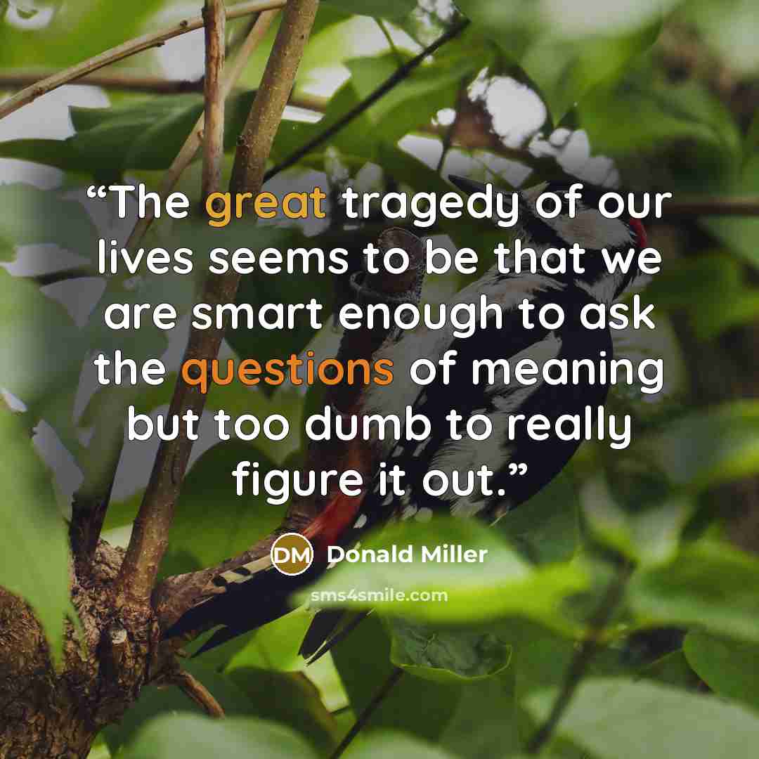 “The great tragedy of our lives seems to be that we are smart enough to ask the questions of meaning but too dumb to really figure it out.” quote by Donald Miller