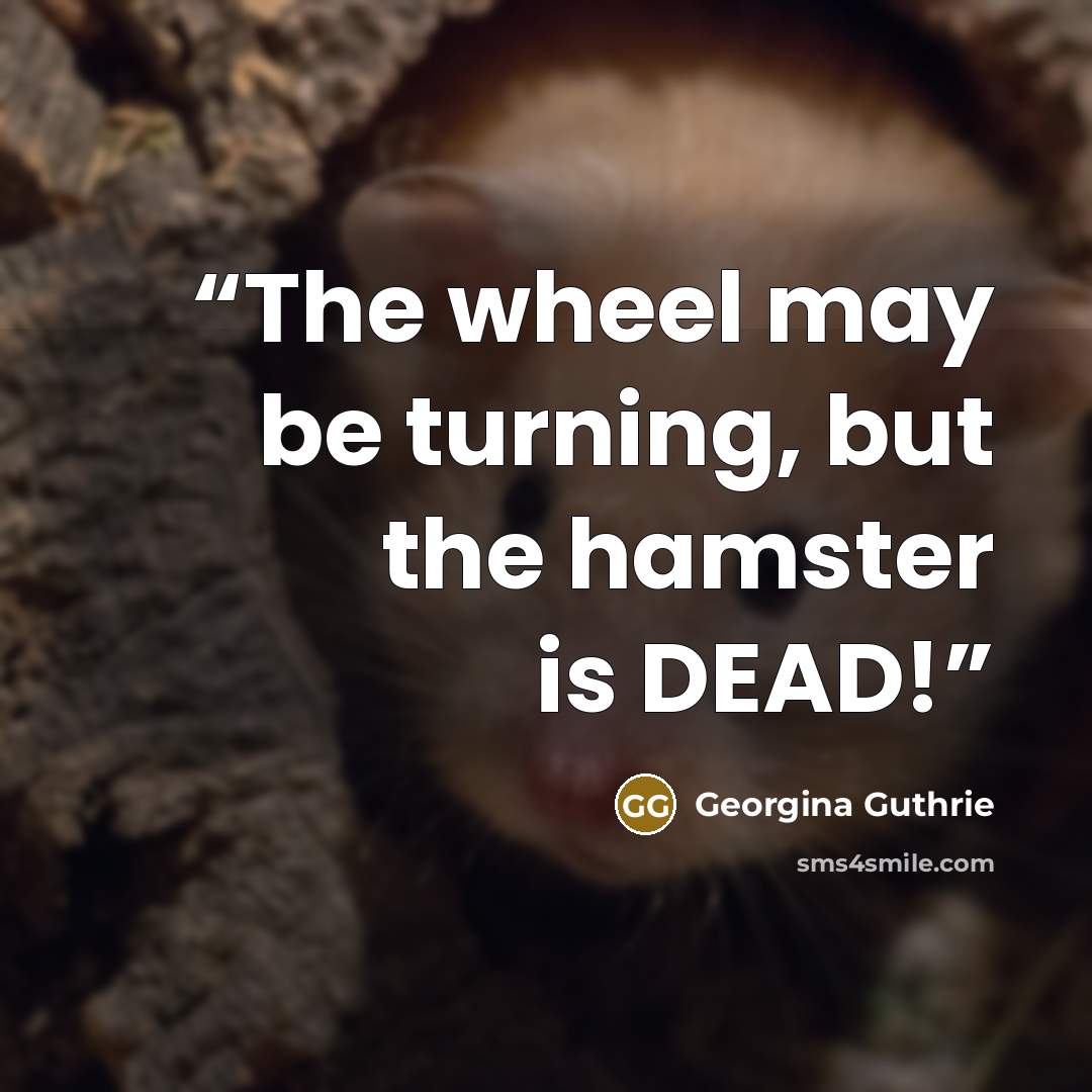 “The wheel may be turning, but the hamster is DEAD!” quote by Georgina Guthrie