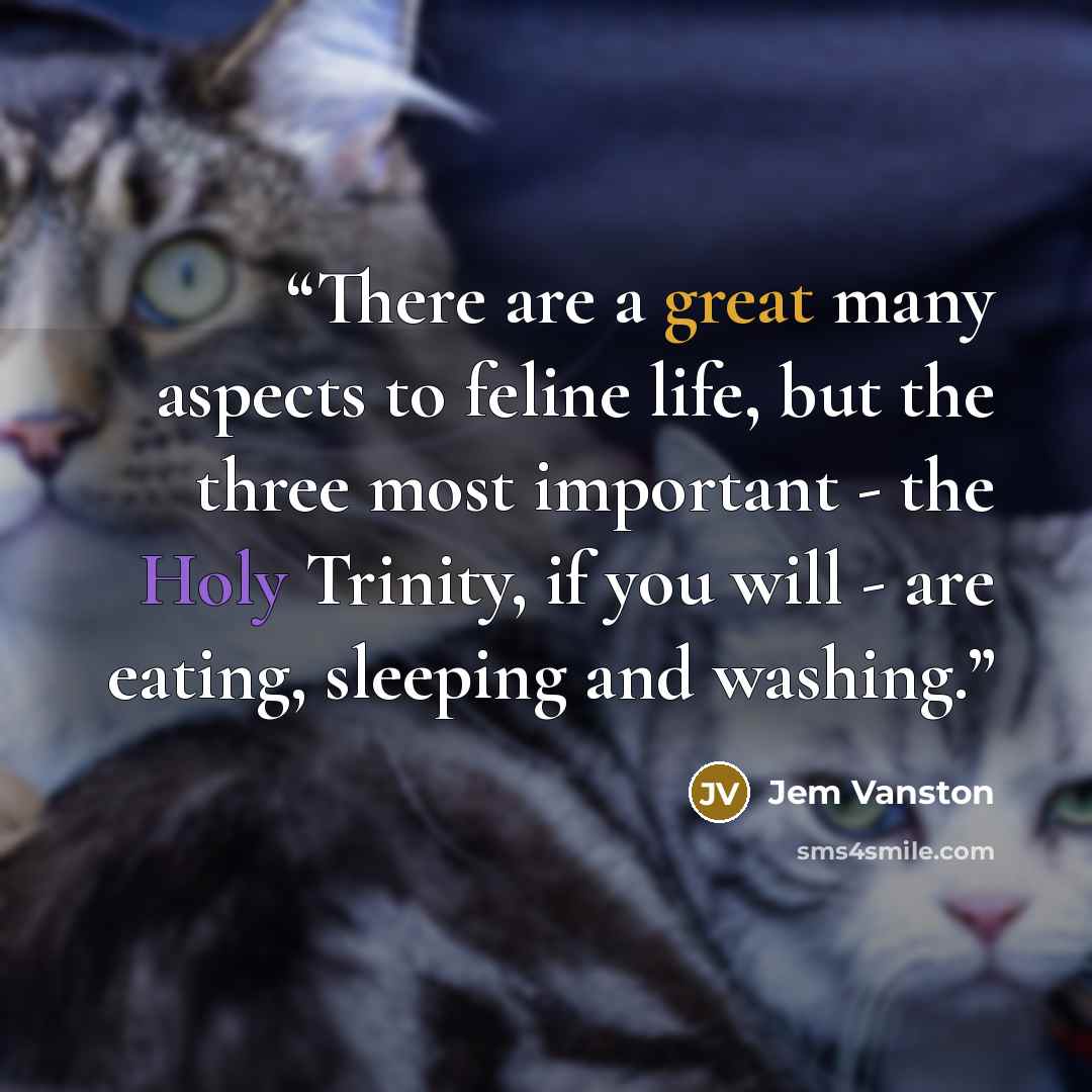 “There are a great many aspects to feline life, but the three most important - the Holy Trinity, if you will - are eating, sleeping and washing.” quote by Jem Vanston