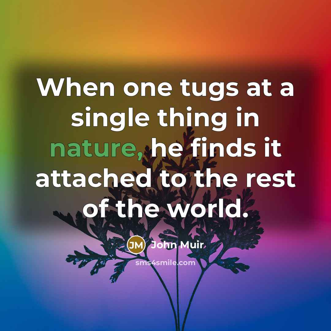 “When one tugs at a single thing in nature, he…” quote by John Muir