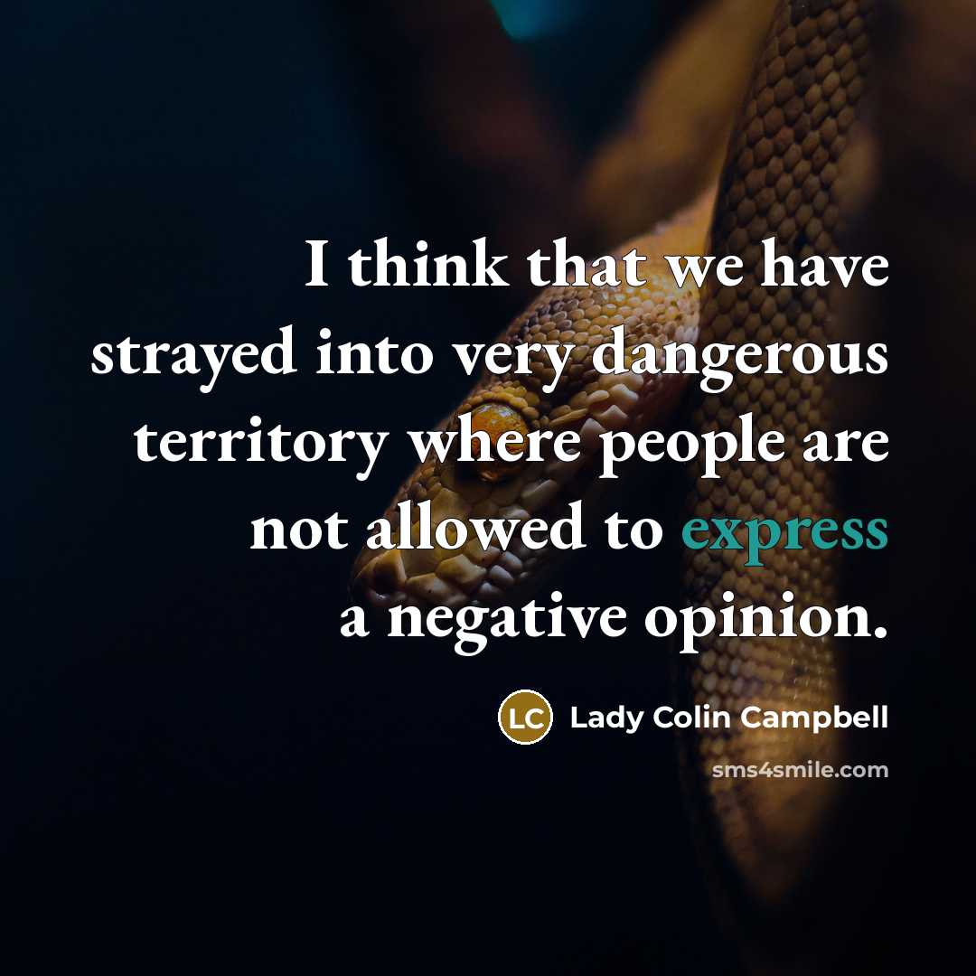 “I think that we have strayed into very dangerous territory…” quote by Lady Colin Campbell