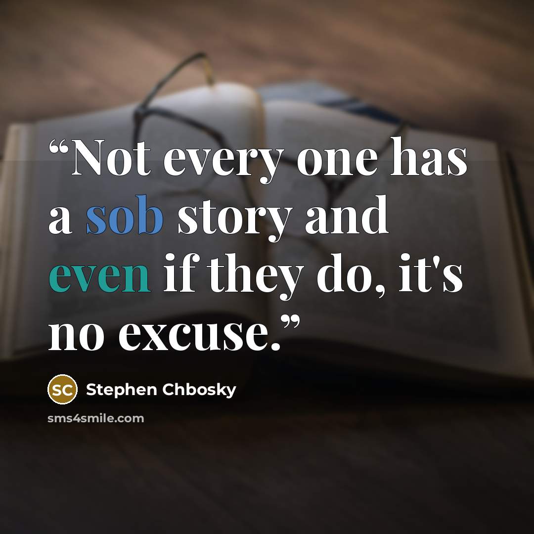 “Not every one has a sob story and even if they do, it's no excuse.” quote by Stephen Chbosky