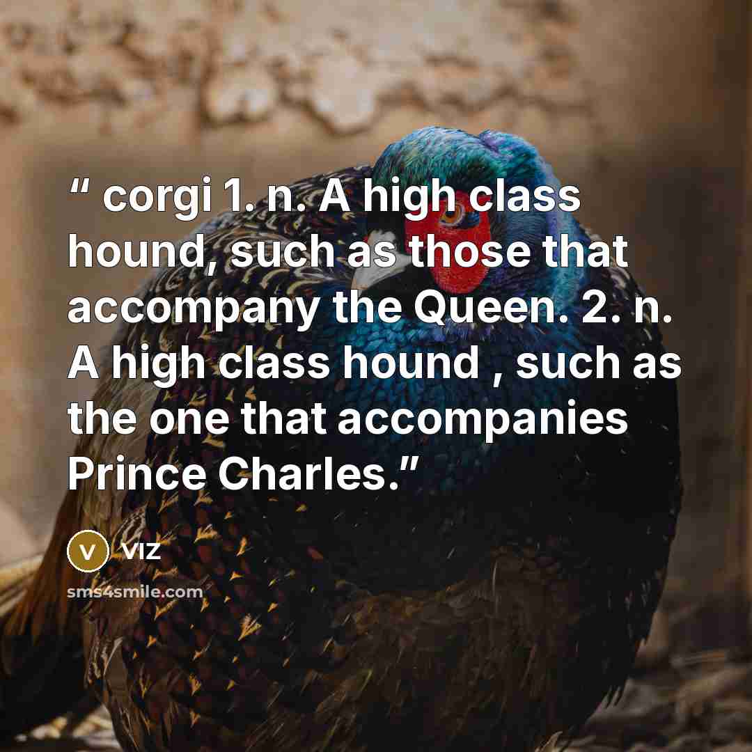 “corgi 1. n. A high class hound, such as those that accompany the Queen. 2. n. A high class hound , such as the one that accompanies Prince Charles.” quote by VIZ