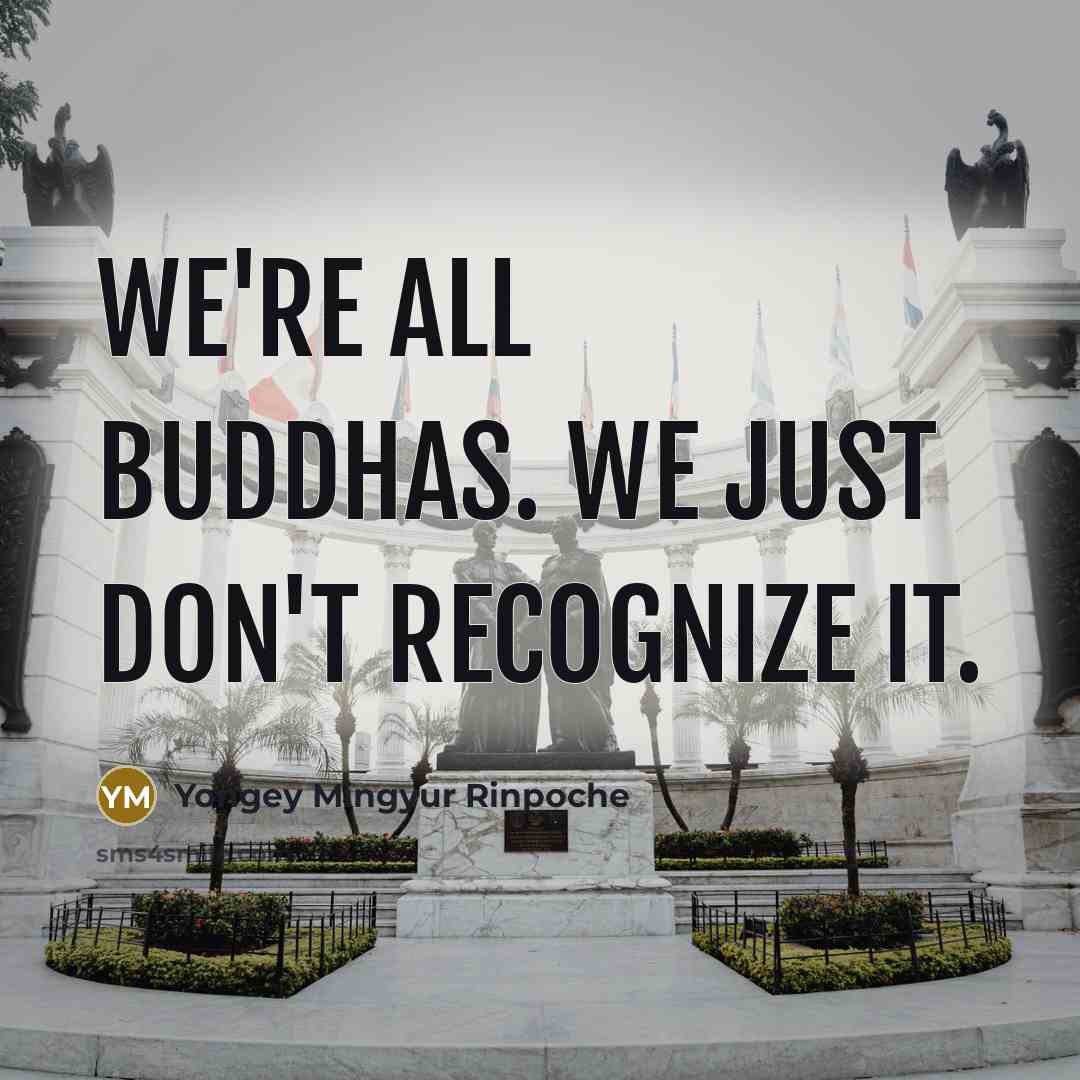 “We're all buddhas. We just don't recognize it.…” quote by Yongey Mingyur Rinpoche