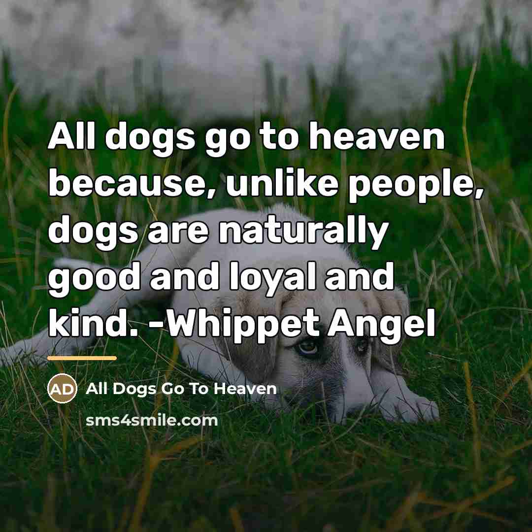 “All dogs go to heaven because, unlike people, dogs are…” quote by All Dogs Go To Heaven