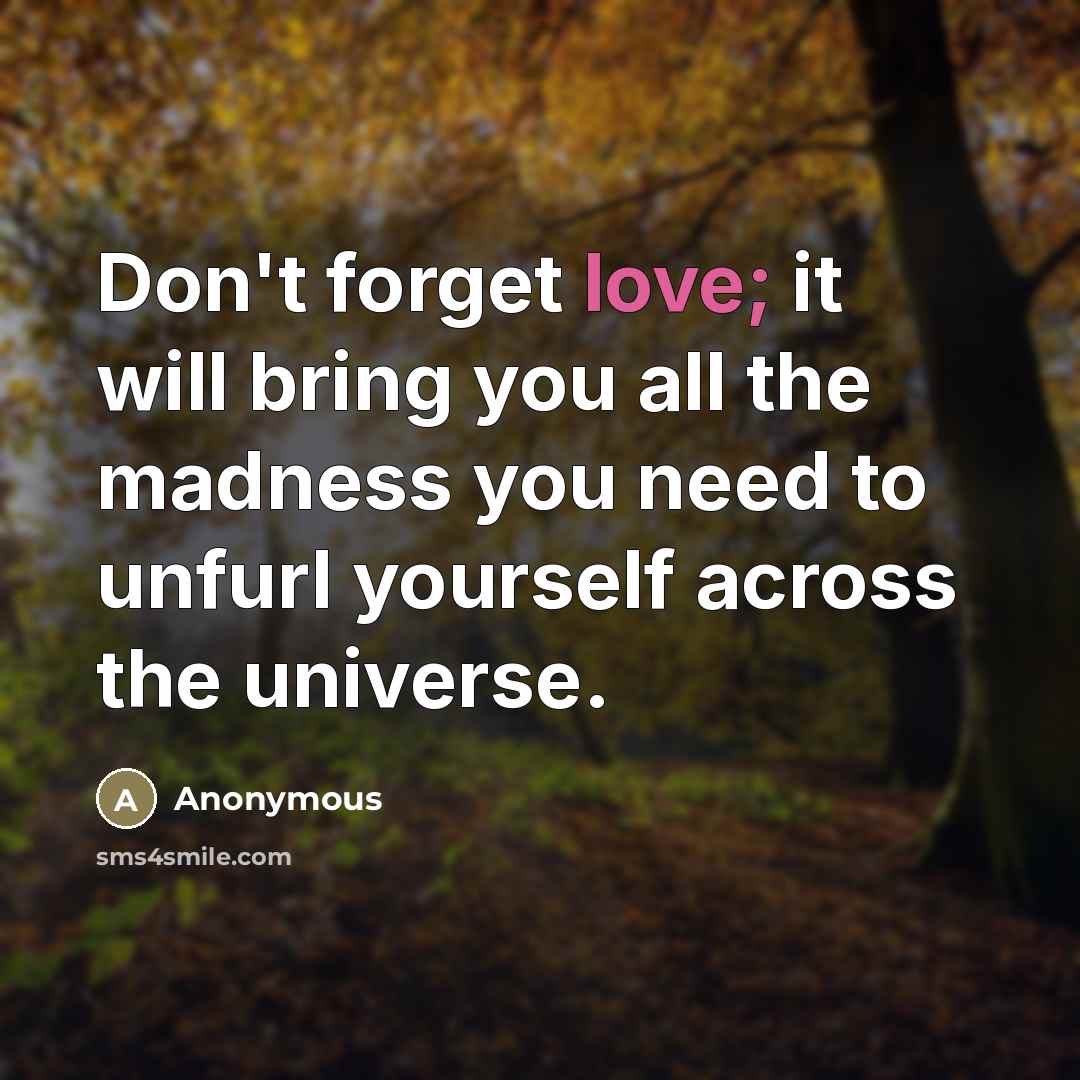 “Don't forget love; it will bring you all the madness…” quote by Anonymous