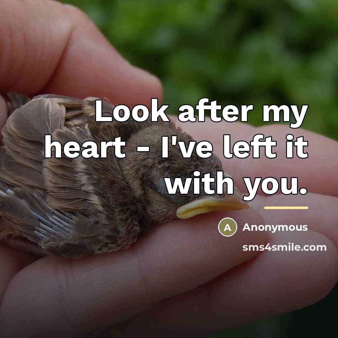 “Look after my heart - I've left it with you.…” quote by Anonymous
