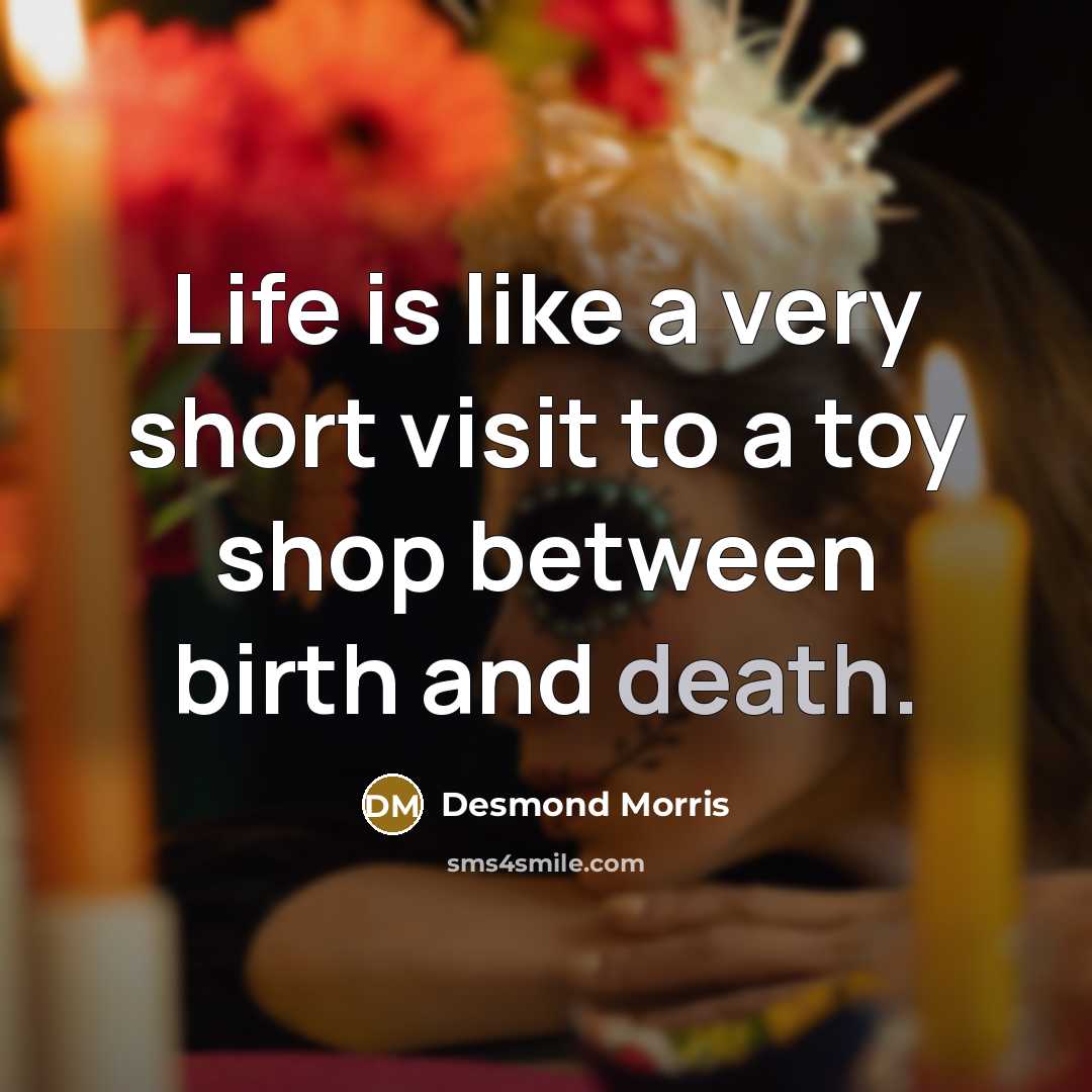 “Life is like a very short visit to a toy…” quote by Desmond Morris