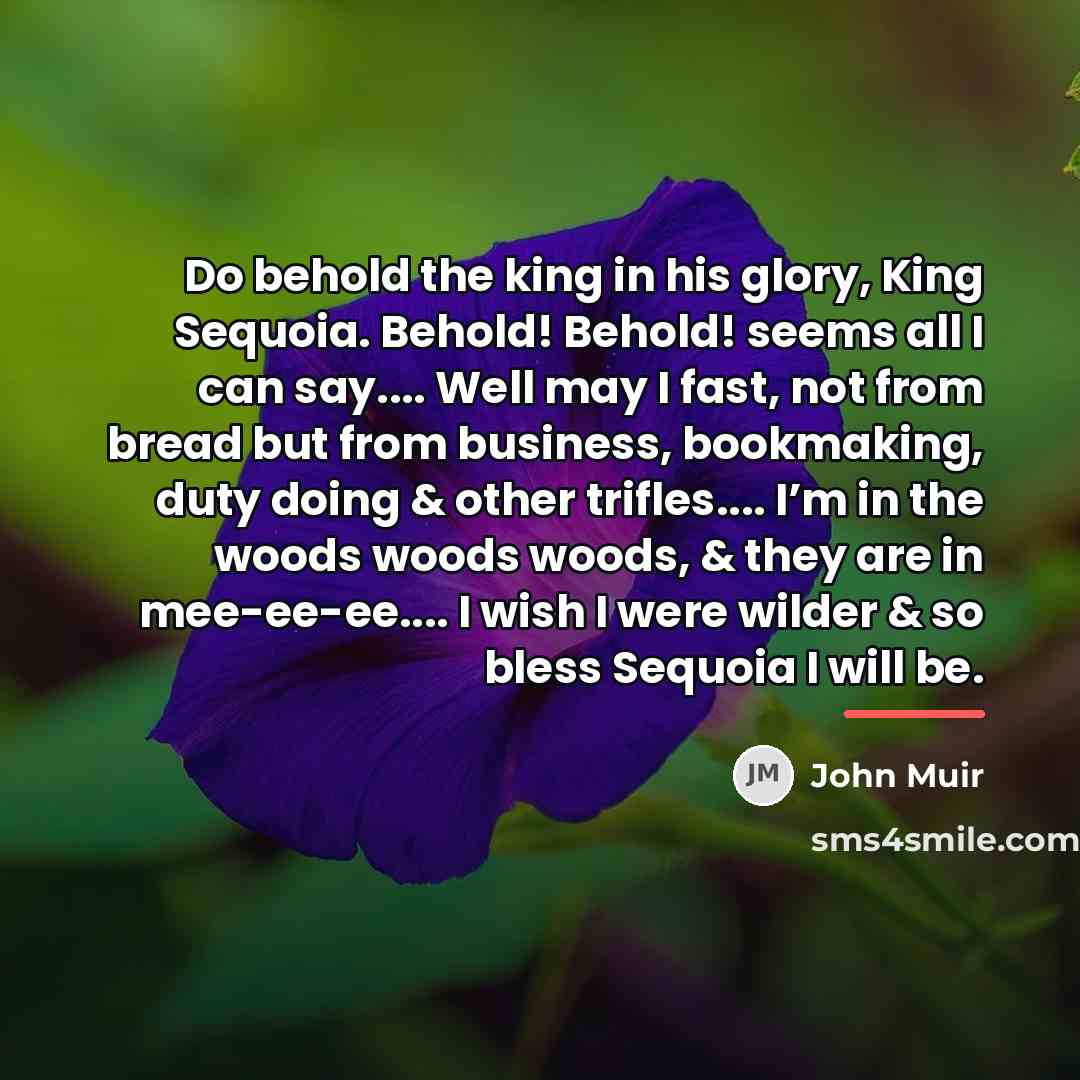 “Do behold the king in his glory, King Sequoia. Behold!…” quote by John Muir