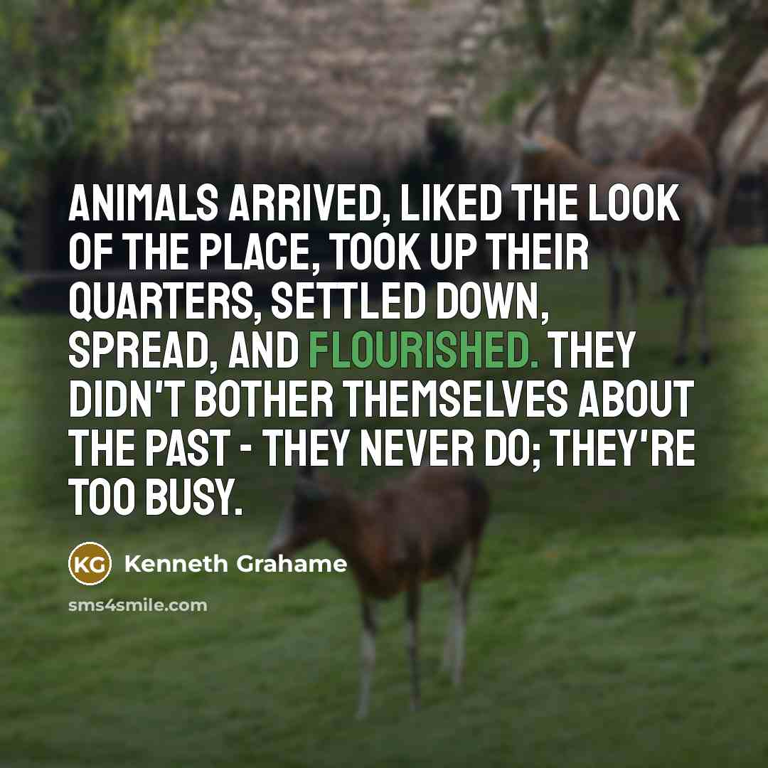 “Animals arrived, liked the look of the place, took up their quarters, settled down, spread, and flourished. They didn't bother themselves about the past - they never do; they're too busy.” quote by Kenneth Grahame