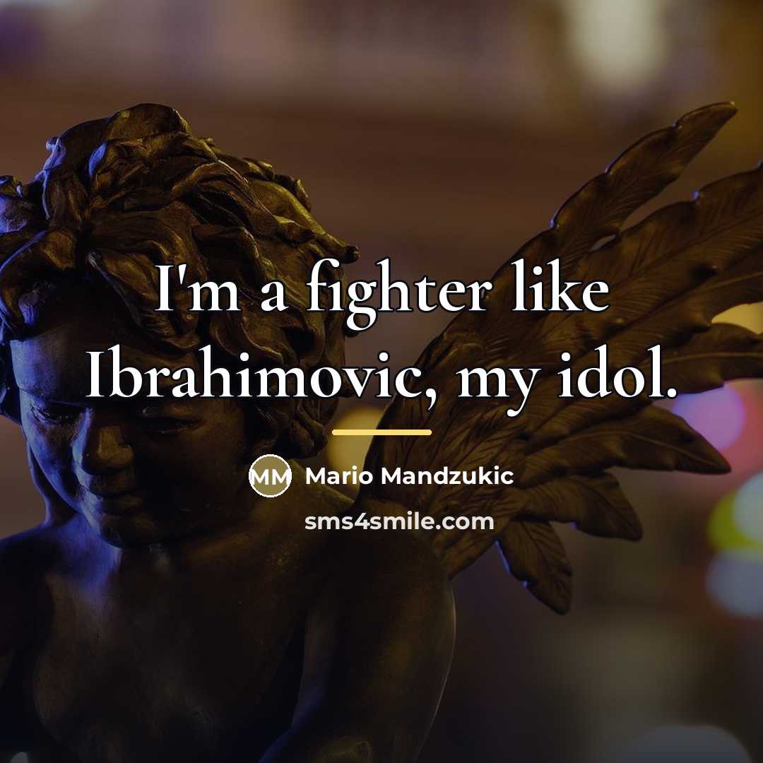“I'm a fighter like Ibrahimovic, my idol.…” quote by Mario Mandzukic