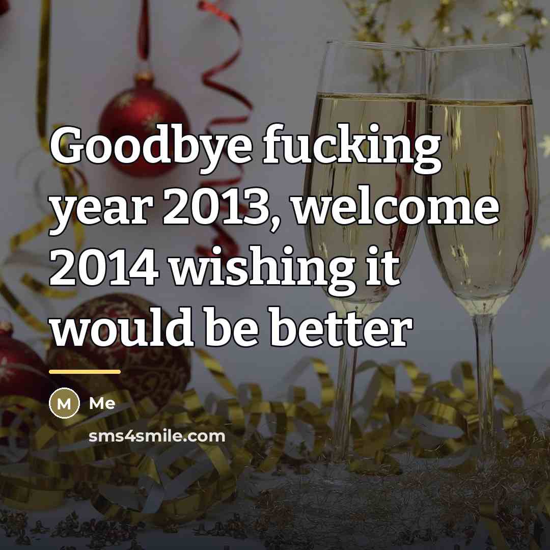 “Goodbye fucking year 2013, welcome 2014 wishing it would be…” quote by Me