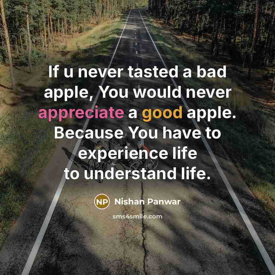 “If u never tasted a bad apple, You would never…” quote by Nishan Panwar
