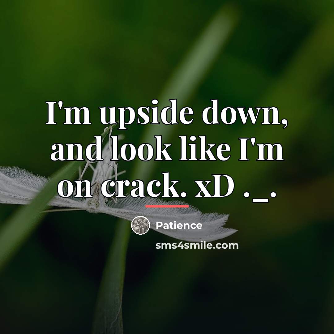 “I'm upside down, and look like I'm on crack. xD…” quote by Patience