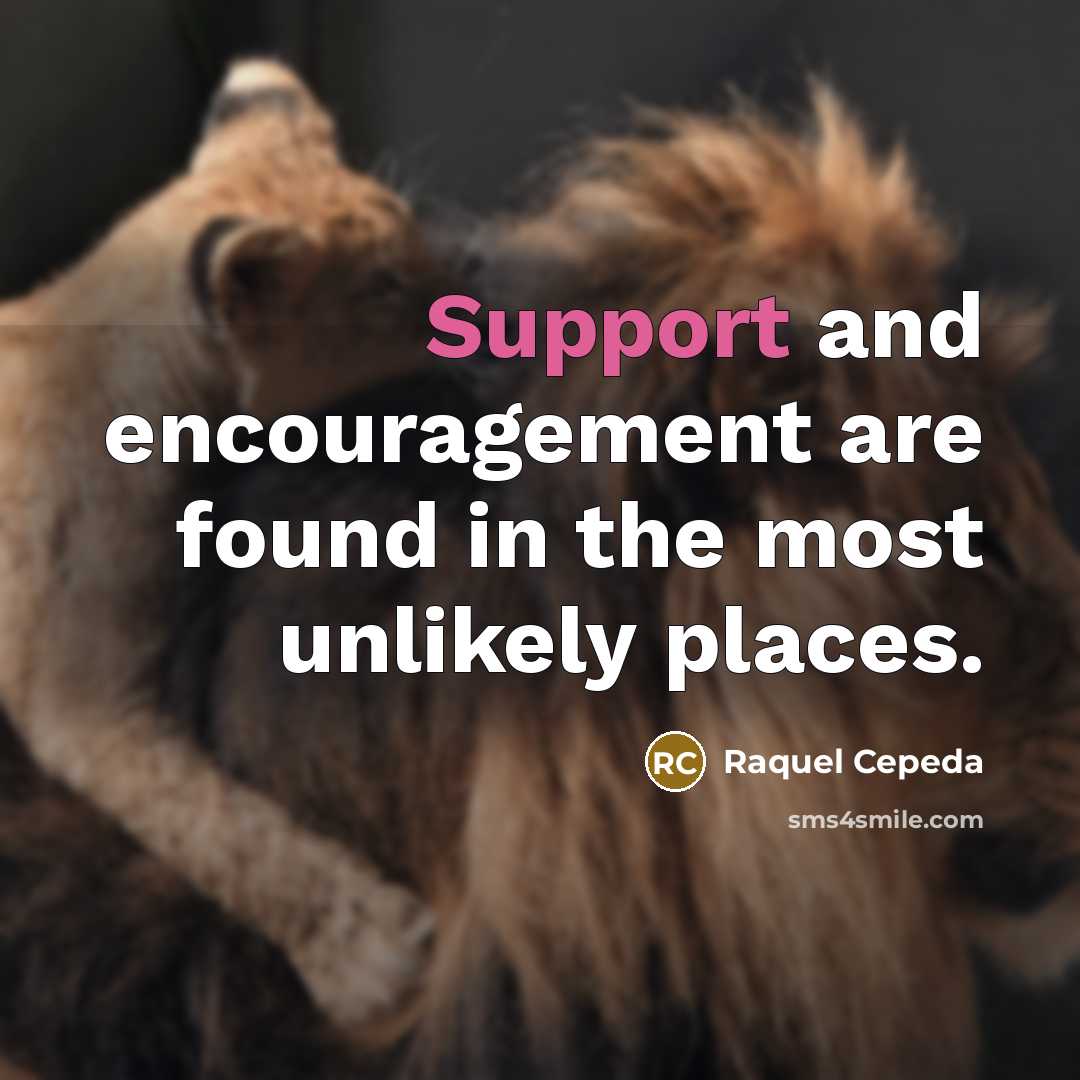 “Support and encouragement are found in the most unlikely places.…” quote by Raquel Cepeda