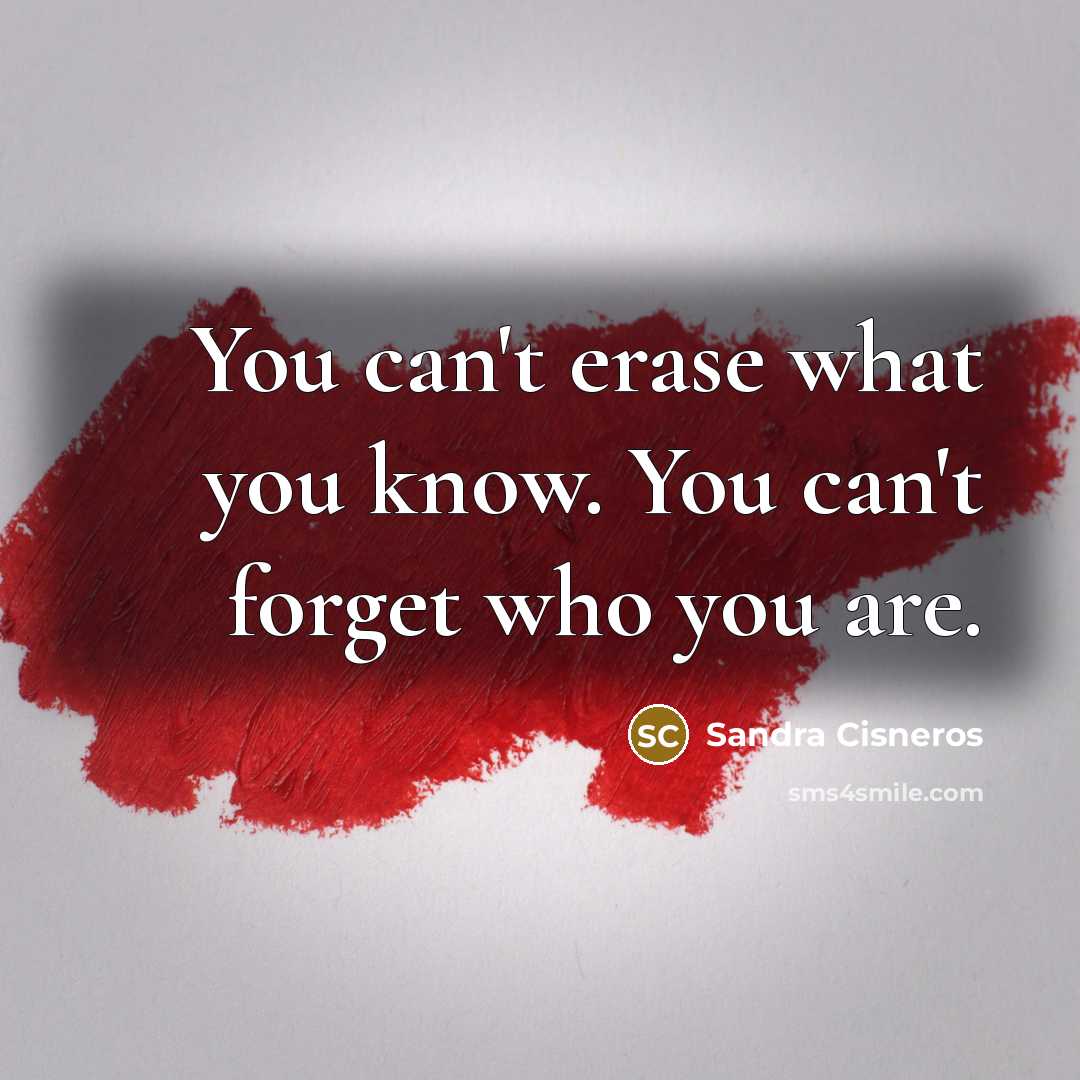 “You can't erase what you know. You can't forget who…” quote by Sandra Cisneros
