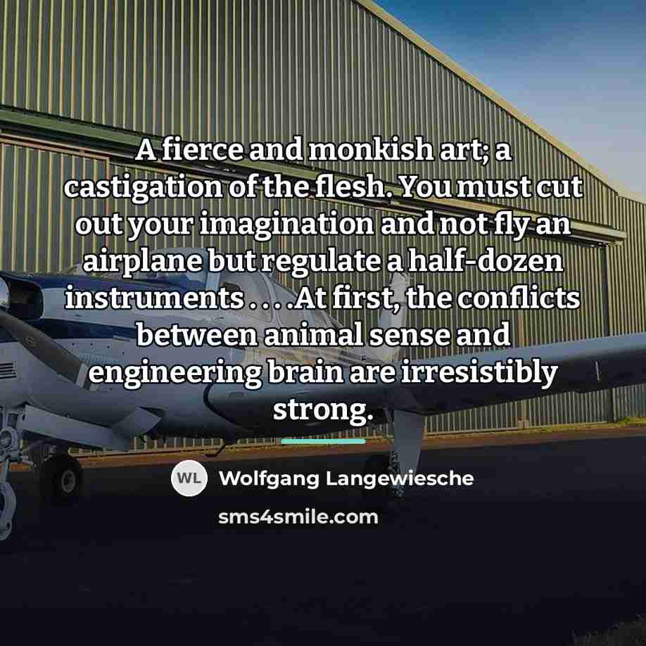 “A fierce and monkish art; a castigation of the flesh.…” quote by Wolfgang Langewiesche