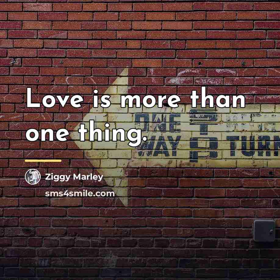 “Love is more than one thing.…” quote by Ziggy Marley
