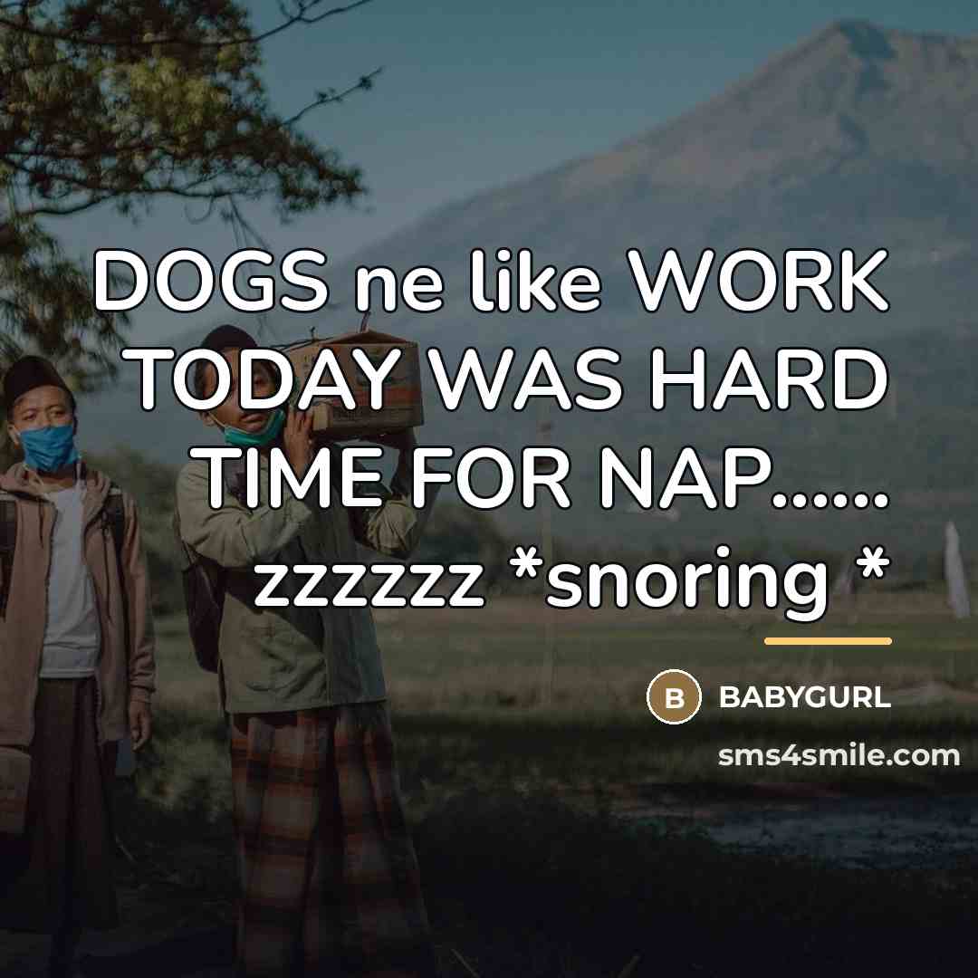 “DOGS ne like WORK TODAY WAS HARD TIME FOR NAP......…” quote by BABYGURL