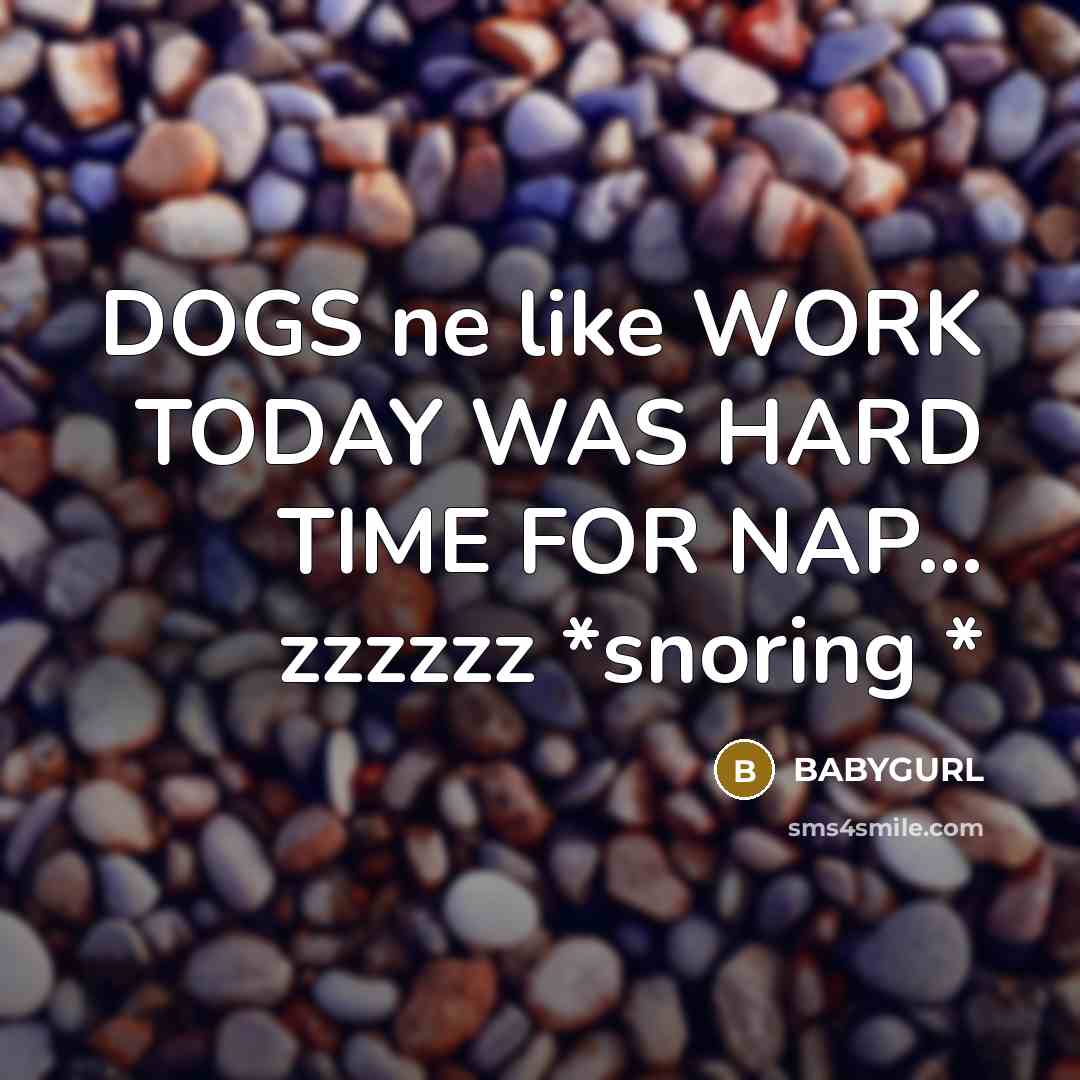 “DOGS ne like WORK TODAY WAS HARD TIME FOR NAP… zzzzzz *snoring *” quote by BABYGURL