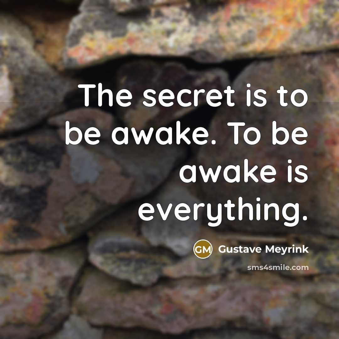 “The secret is to be awake. To be awake is…” quote by Gustave Meyrink