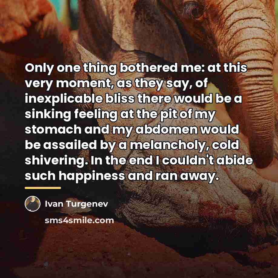“Only one thing bothered me: at this very moment, as…” quote by Ivan Turgenev