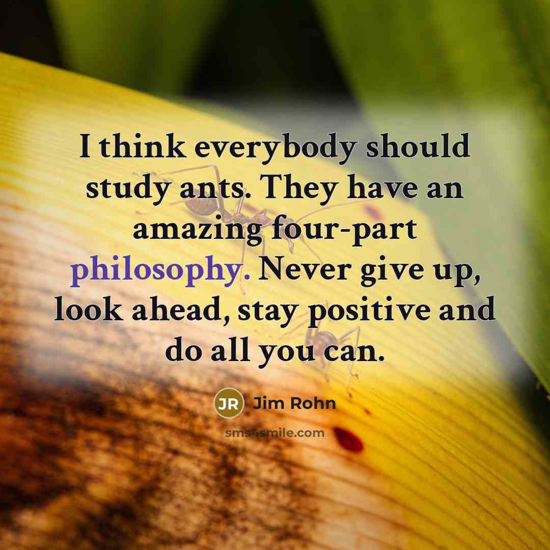“I think everybody should study ants. They have an amazing…” quote by Jim Rohn