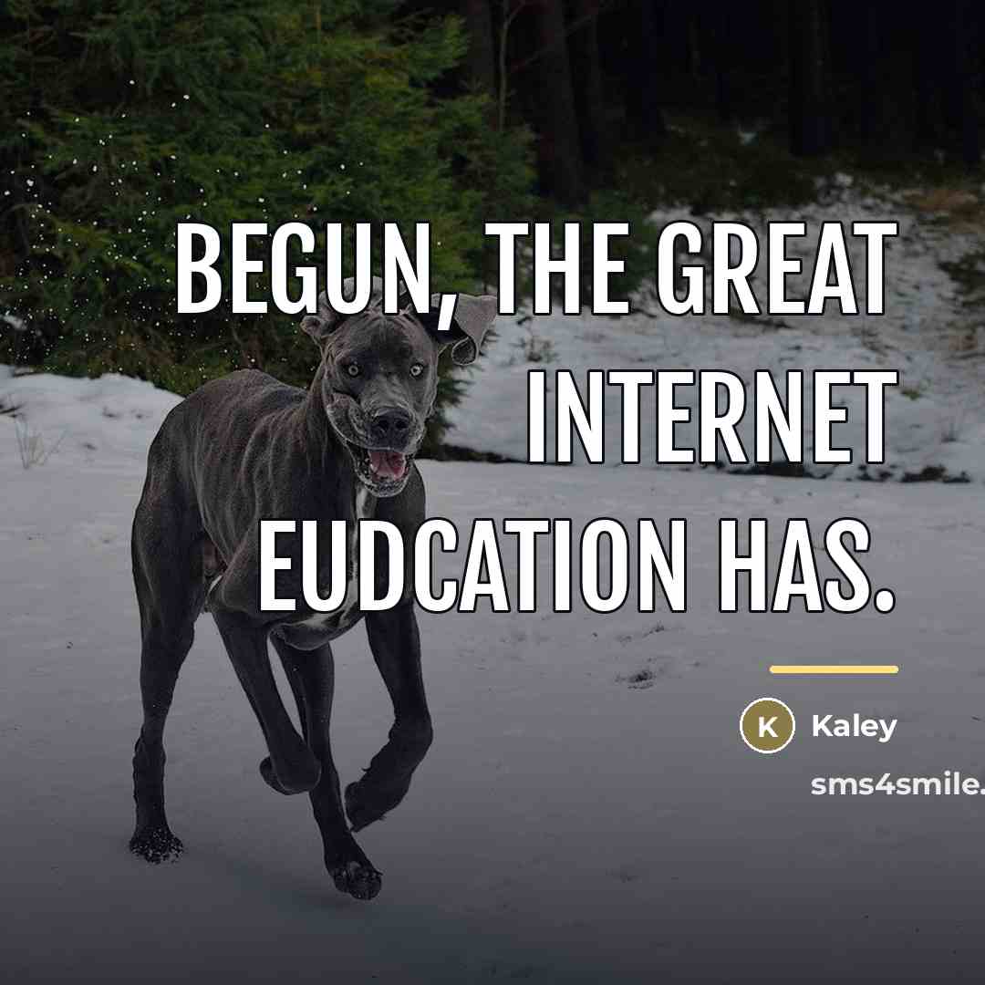 “Begun, the great internet eudcation has.…” quote by Kaley