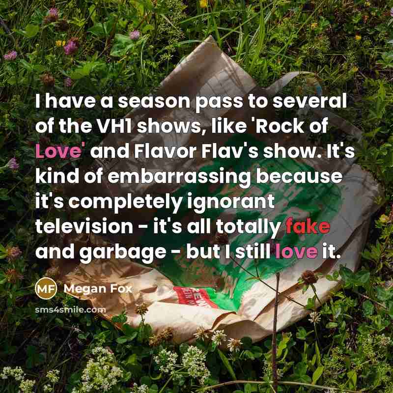 “I have a season pass to several of the VH1…” quote by Megan Fox