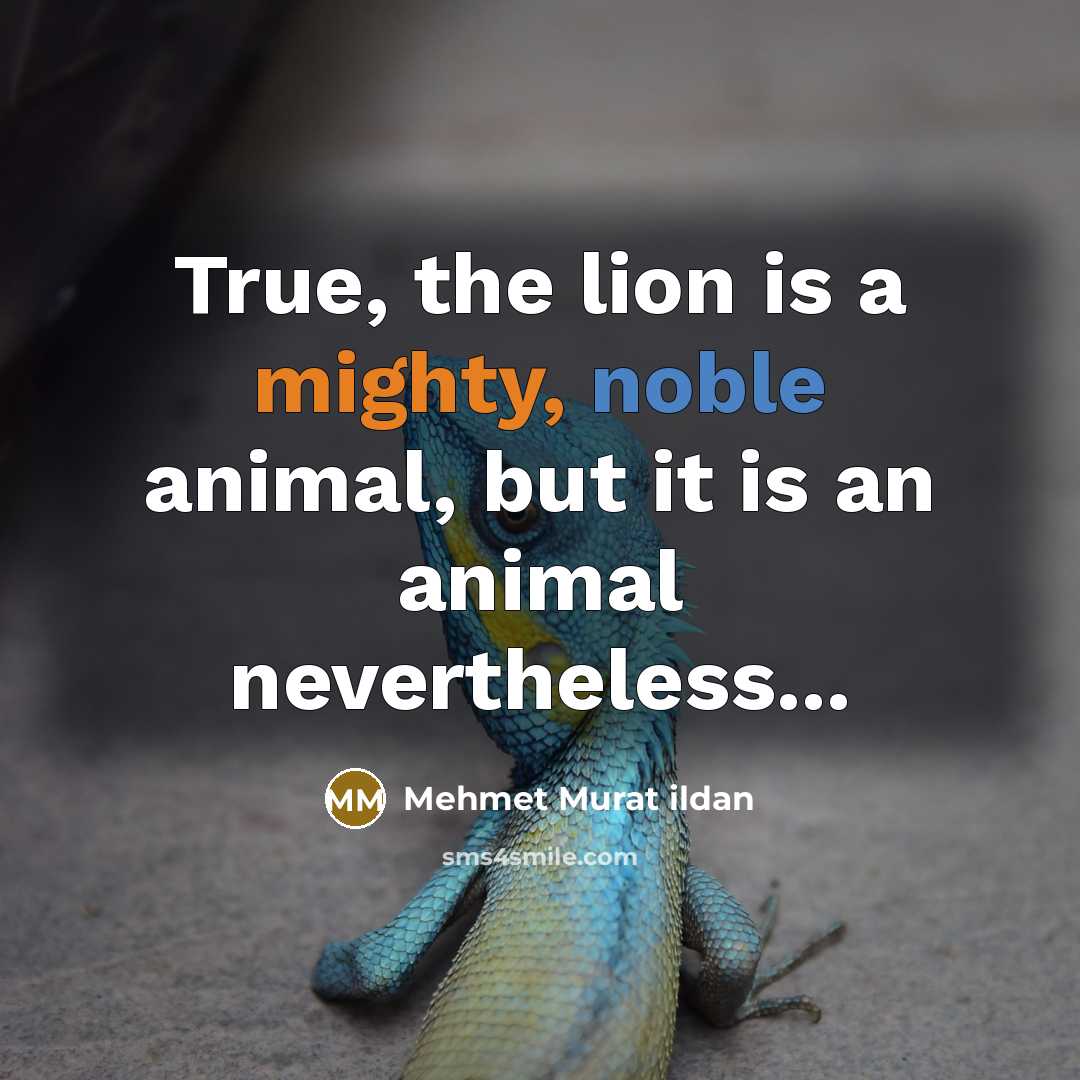 “True, the lion is a mighty, noble animal, but it…” quote by Mehmet Murat Ildan
