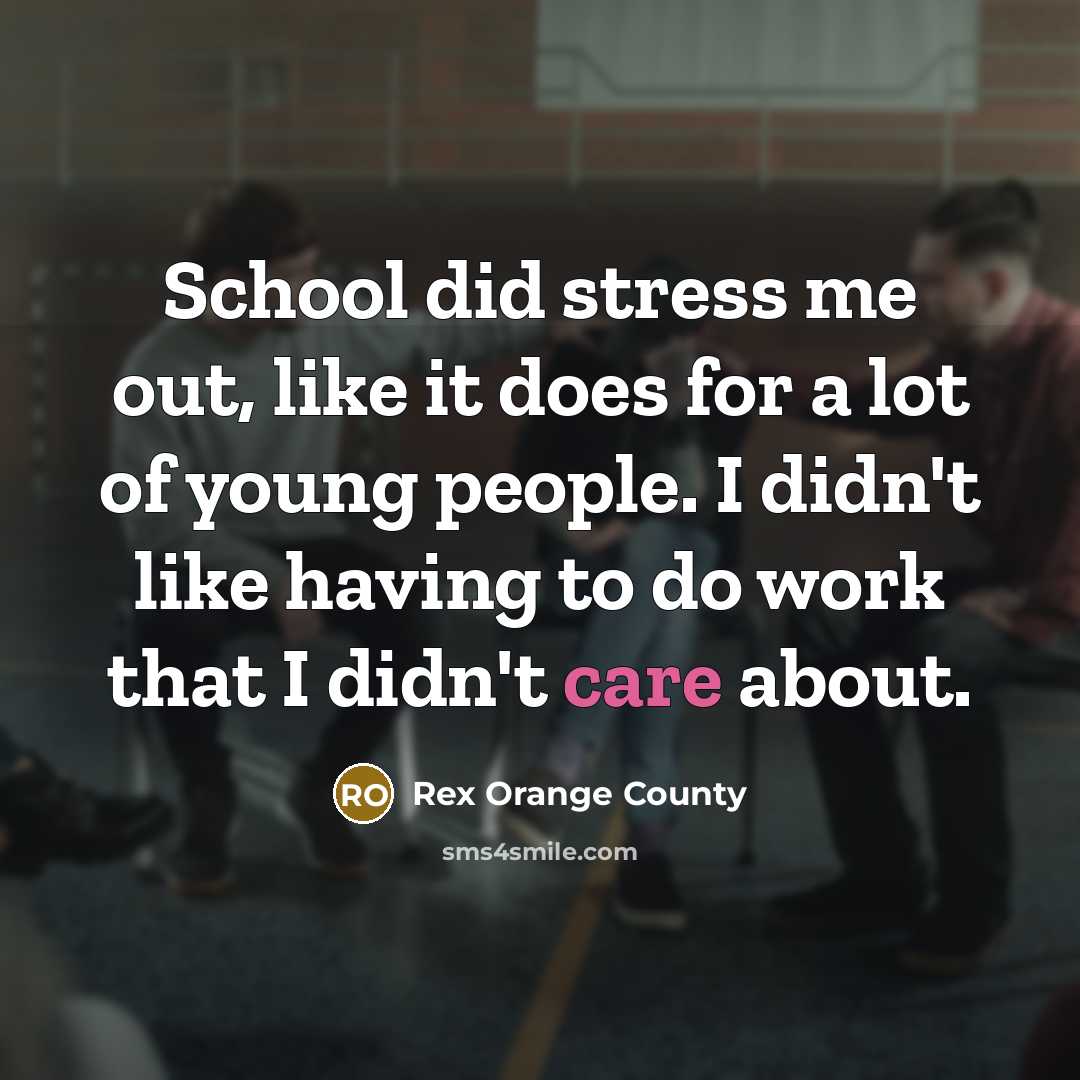 “School did stress me out, like it does for a…” quote by Rex Orange County