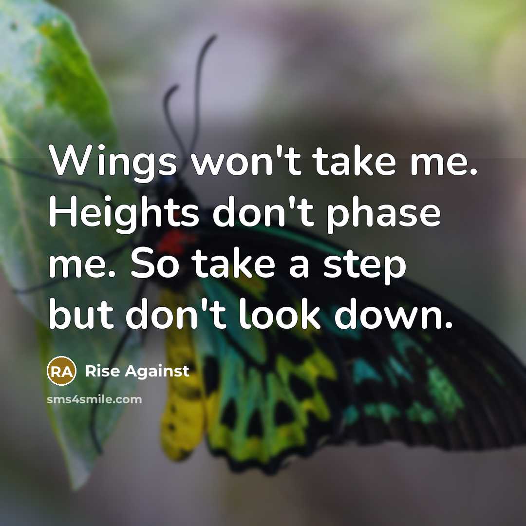 “Wings won't take me. Heights don't phase me. So take…” quote by Rise Against