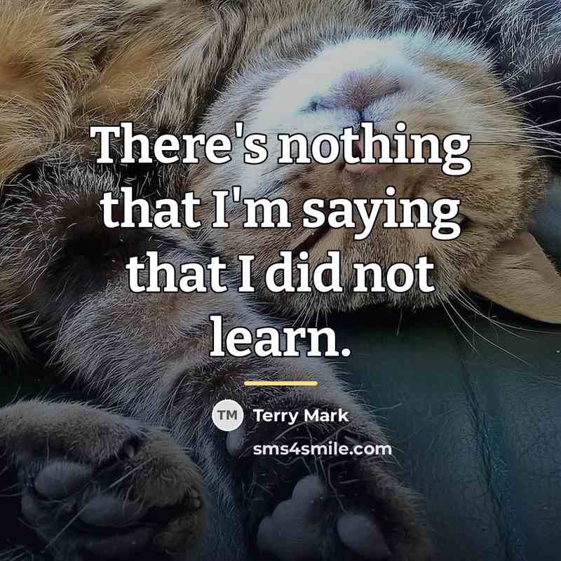 “There's nothing that I'm saying that I did not learn.…” quote by Terry Mark