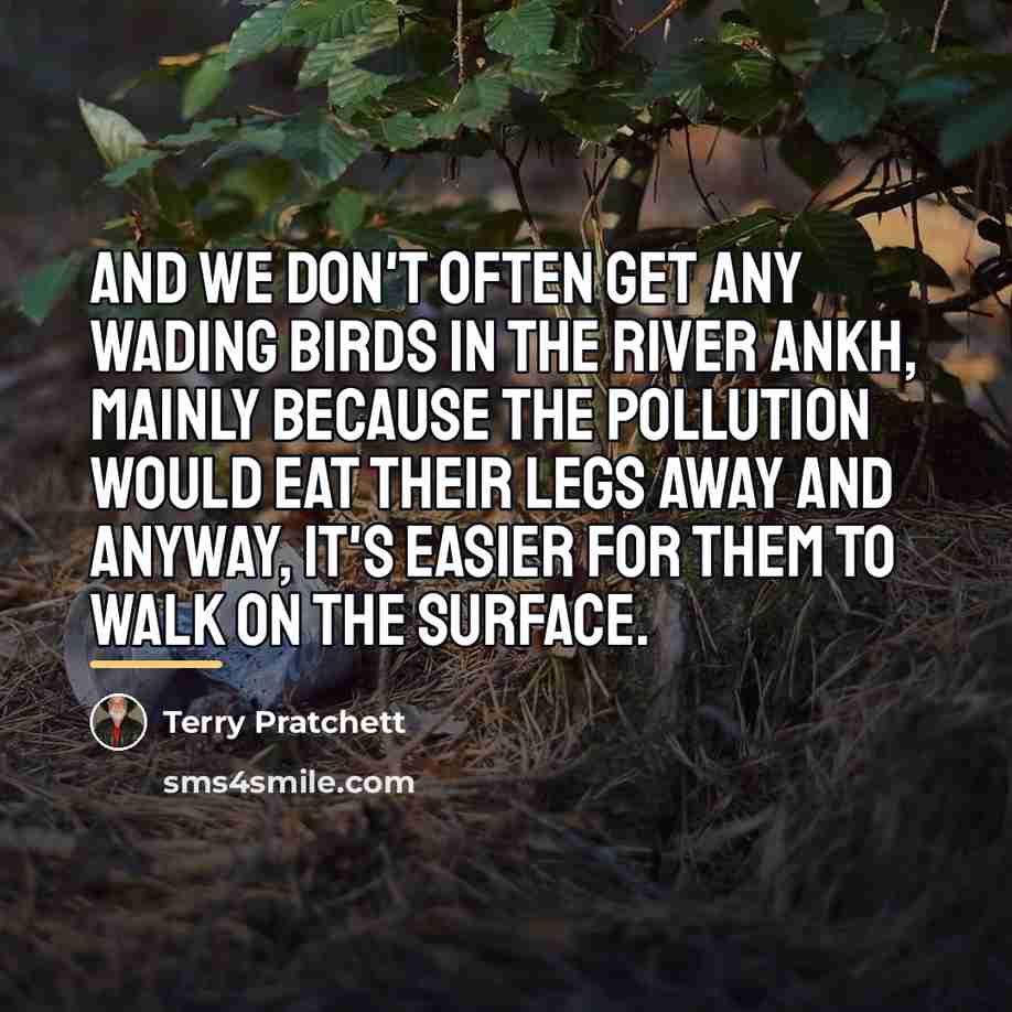 “And we don't often get any wading birds in the…” quote by Terry Pratchett