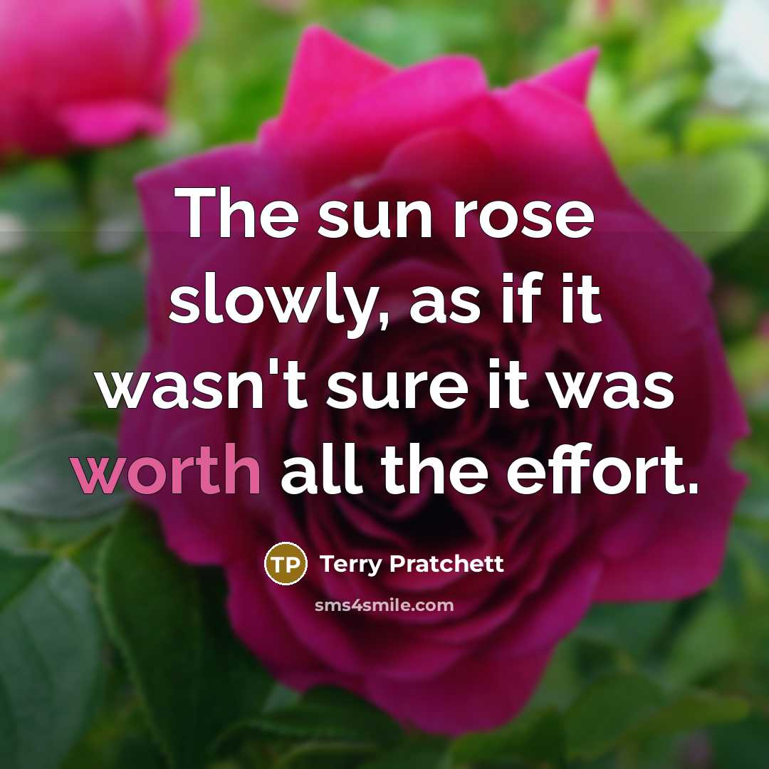 “The sun rose slowly, as if it wasn't sure it…” quote by Terry Pratchett