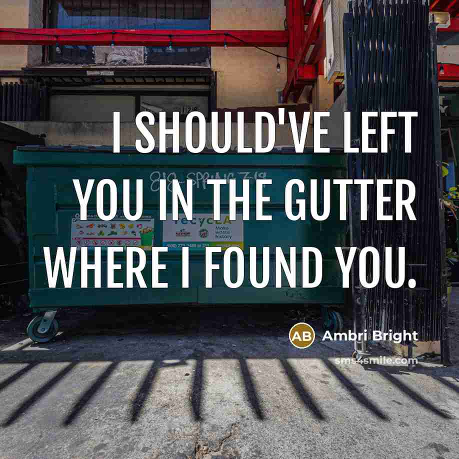 “I should've left you in the gutter where I found…” quote by Ambri Bright