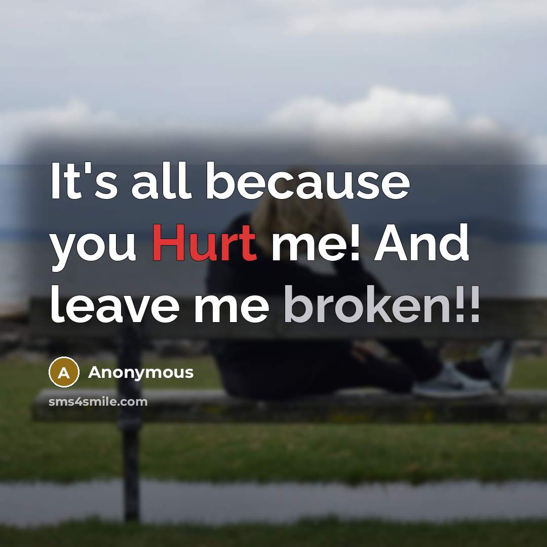 “It's all because you Hurt me! And leave me broken!!” quote by Anonymous