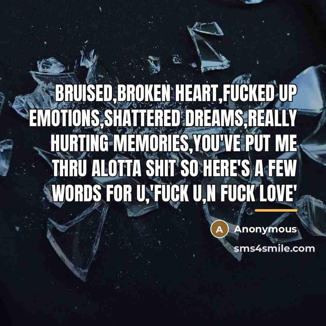 “Bruised,broken heart,fucked up emotions,shattered dreams,really hurting memories,you've put me thru…” quote by Bmw