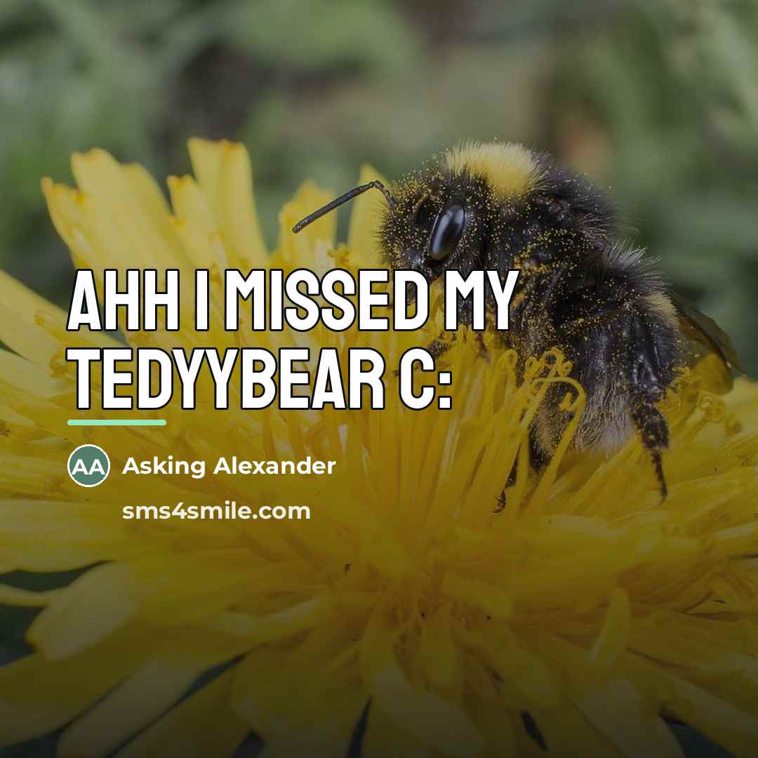“Ahh I missed my tedyybear c:…” quote by Asking Alexander