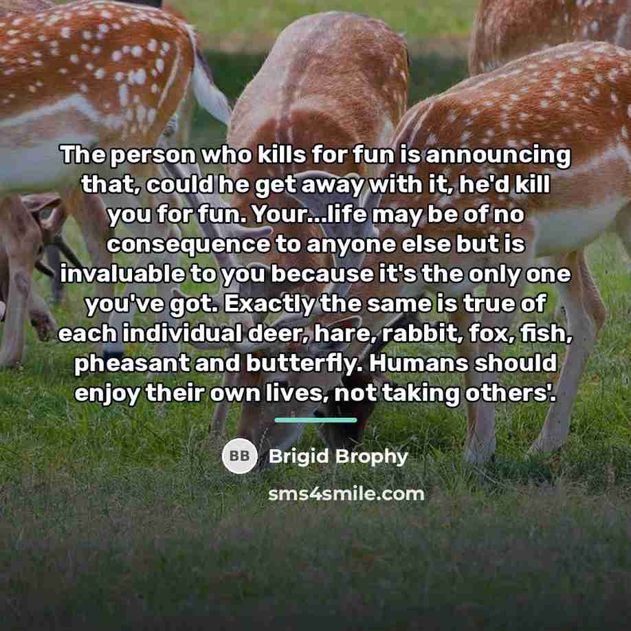 “The person who kills for fun is announcing that, could…” quote by Brigid Brophy