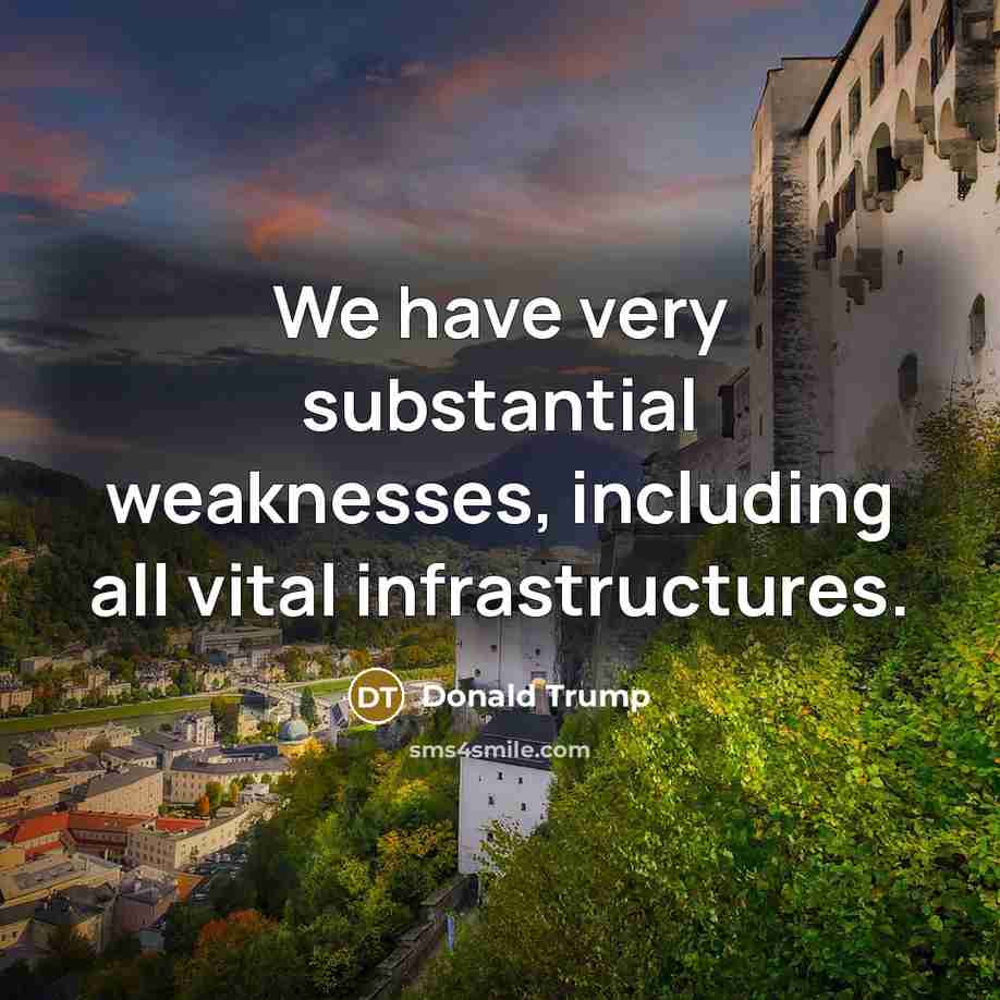 “We have very substantial weaknesses, including all vital infrastructures.…” quote by Donald Trump