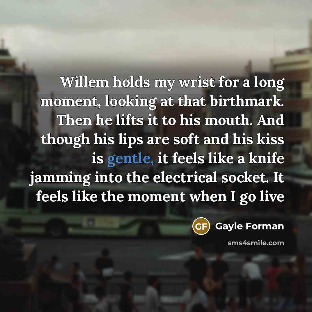 “Willem holds my wrist for a long moment, looking at…” quote by Gayle Forman