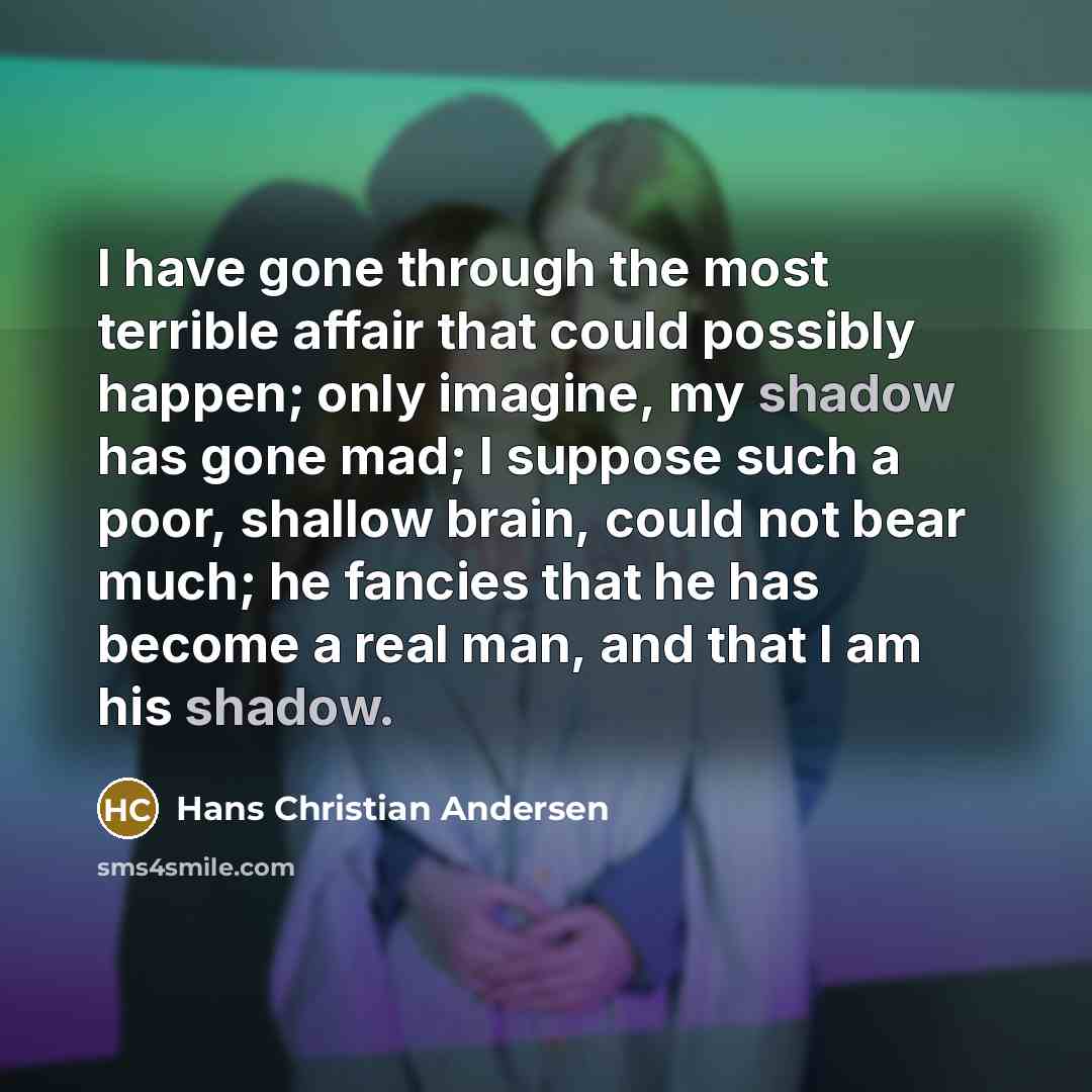 “I have gone through the most terrible affair that could…” quote by Hans Christian Andersen