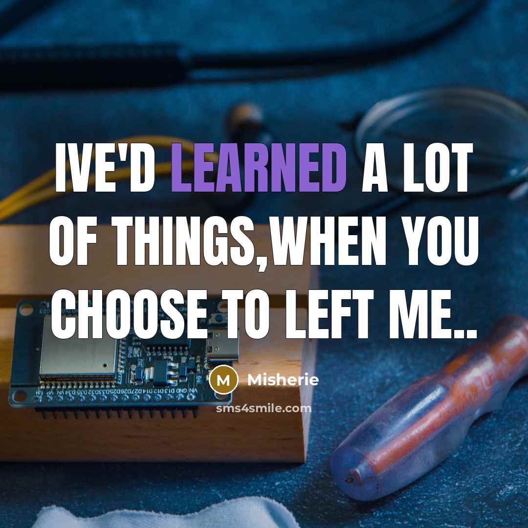 “Ive'd learned a lot of things,when you choose to left me..” quote by Misherie