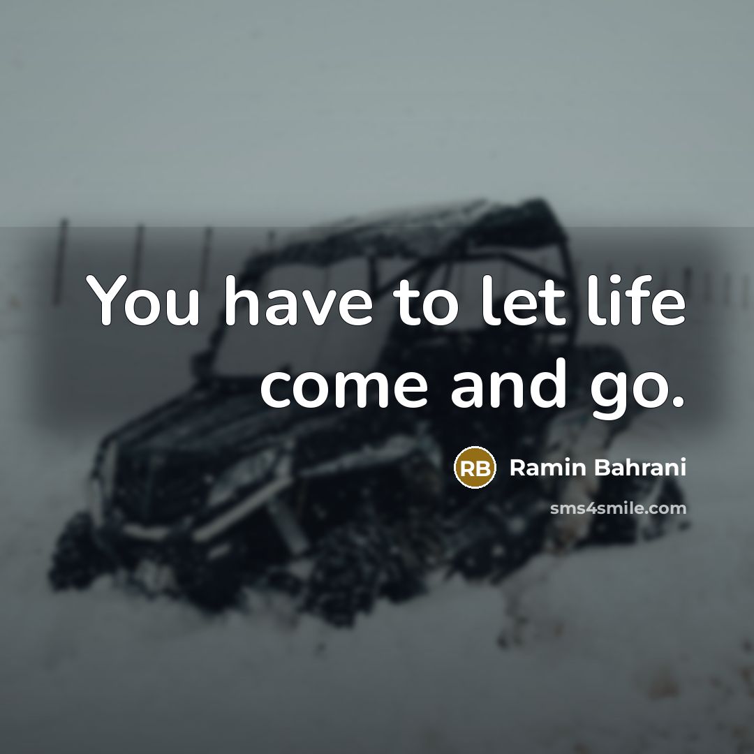 “You have to let life come and go.” quote by Ramin Bahrani