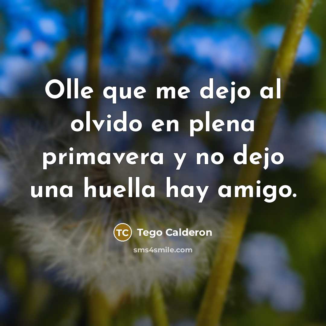 “Olle que me dejo al olvido en plena primavera y…” quote by Tego Calderon