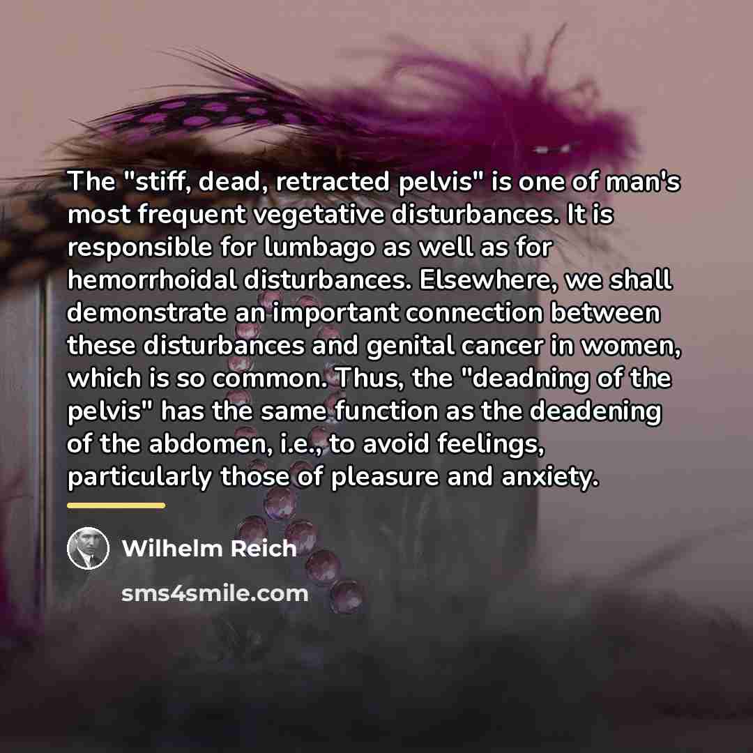 “The "stiff, dead, retracted pelvis" is one of man's most…” quote by Wilhelm Reich