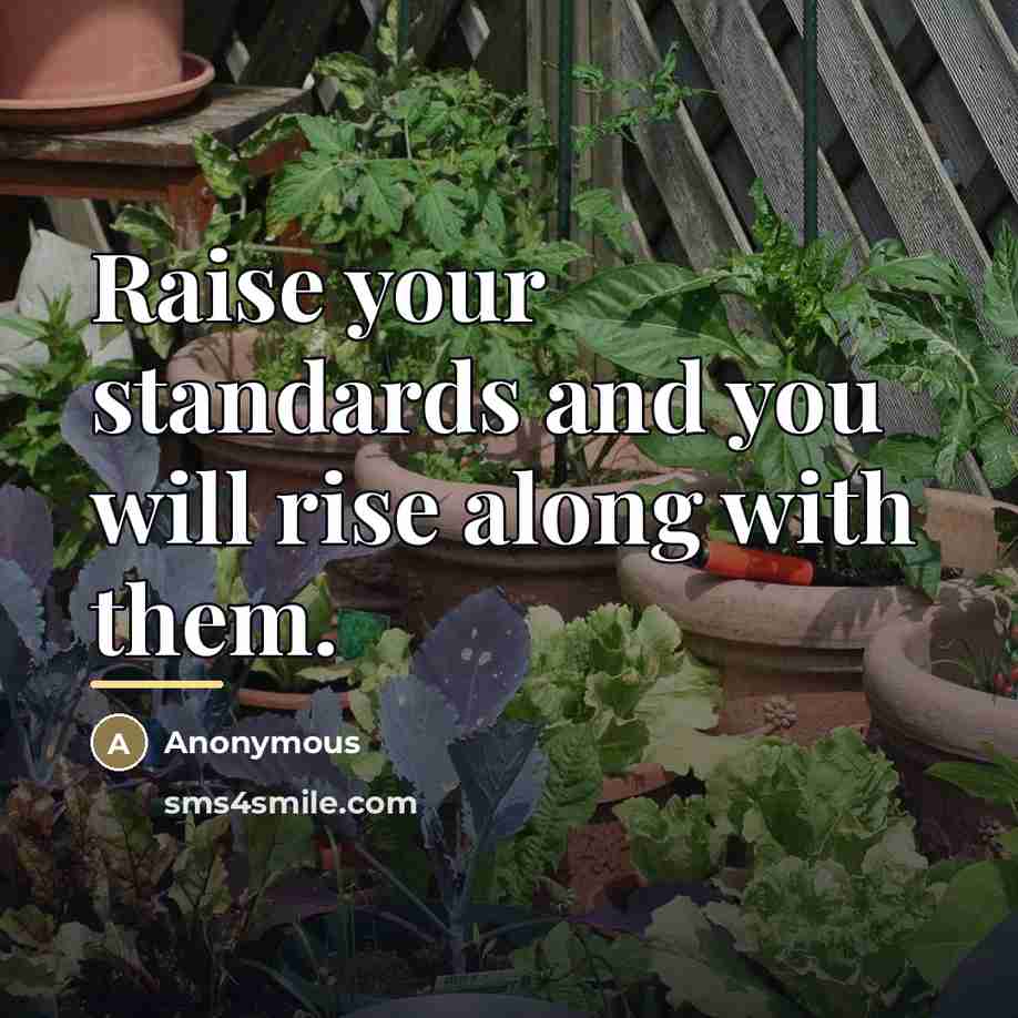 “Raise your standards and you will rise along with them.…” quote by Anonymous