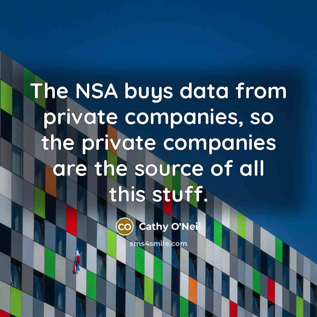 “The NSA buys data from private companies, so the private…” quote by Cathy O'Neil