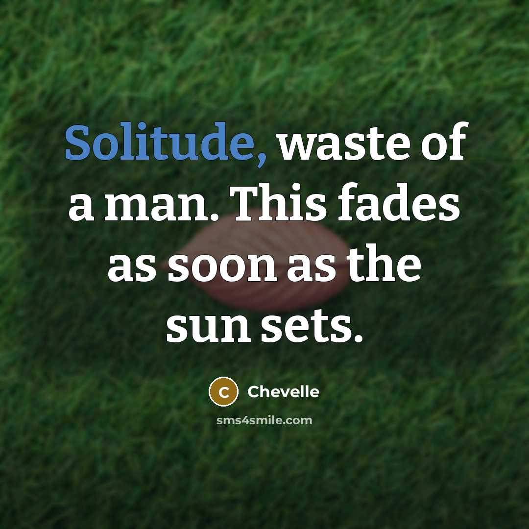 “Solitude, waste of a man. This fades as soon as…” quote by Chevelle